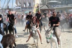Personnes riant tout en chevauchant des ânes sur la plage