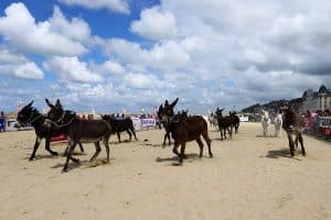 course d’ ânes de Trouville-sur-Mer 