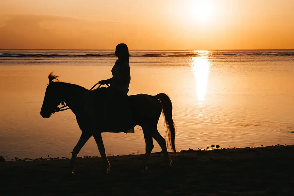 Cavalier au coucher du soleil sur la plage