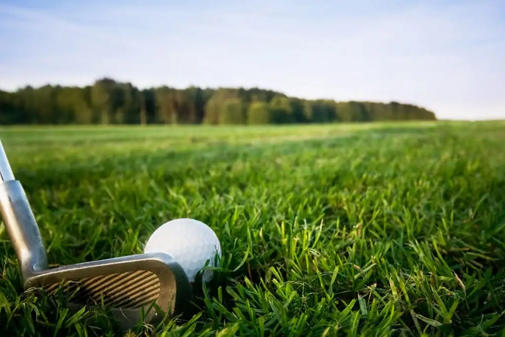 Balle de golf et club sur gazon verdoyant